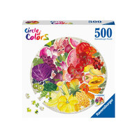 Circle of Color Fruit 500pc